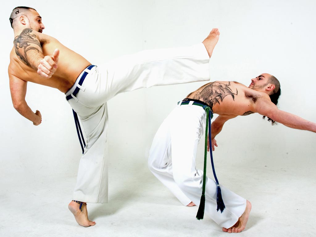 Brazil-Combat-Martial-Arts 